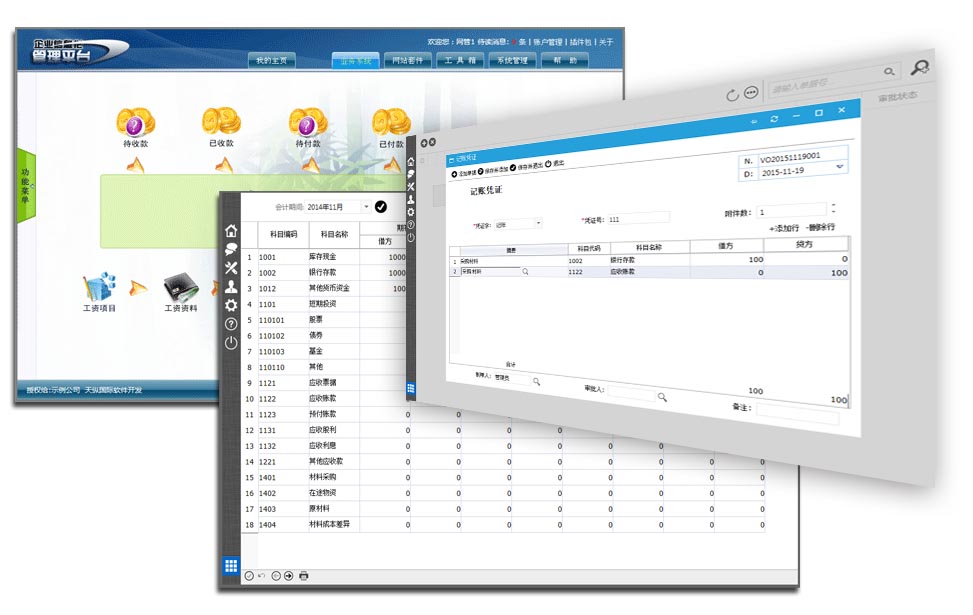 天纵财务管理系统-财务管理软件,财务软件,